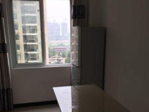 精品兩室一廳首次出租，文化路新中百廣場對面，便捷生活觸手可及