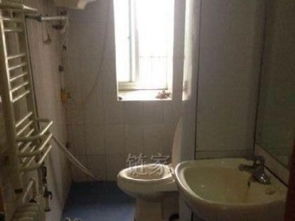 葡萄山南路精品房源出租 優質生活，盡在此處