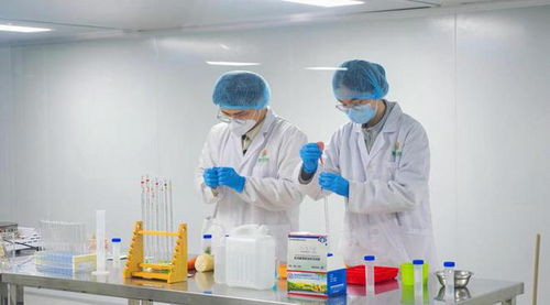 福鼎市福供云廚項目竣工，2023年電子商務“開門穩”啟動儀式圓滿成功