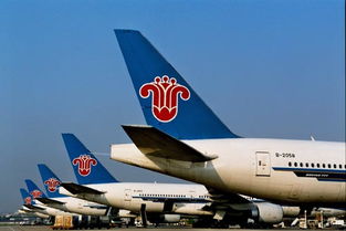南航曝光并重拳整治不法票務(wù)代理 維護(hù)旅客權(quán)益，刻不容緩